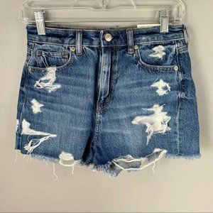 NWT American Eagle Distressed Mom Shorts
